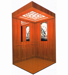 New Gold Star Elevators Standard Lifts